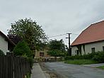 Třibřichy